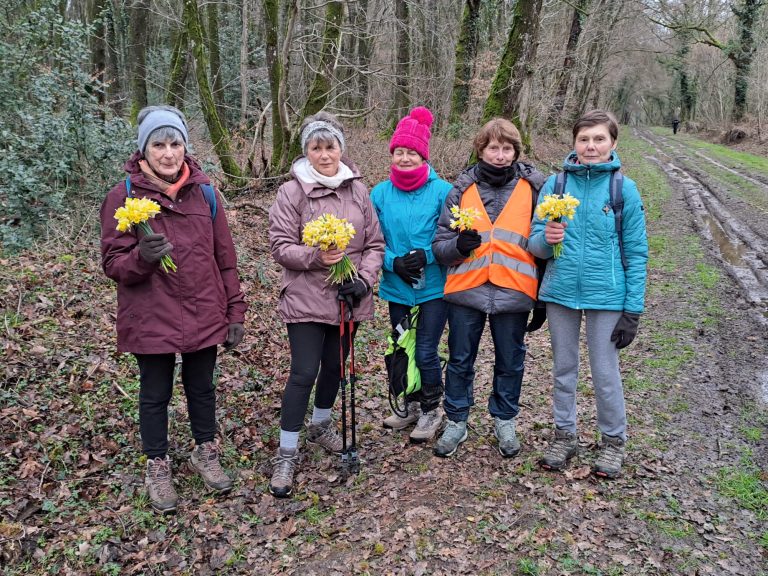 Randonnée des Jonquilles