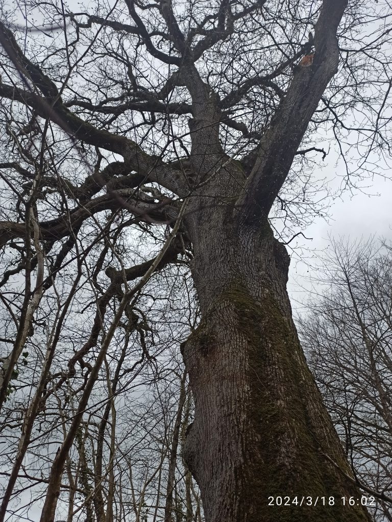 Une randonnée « homérique »