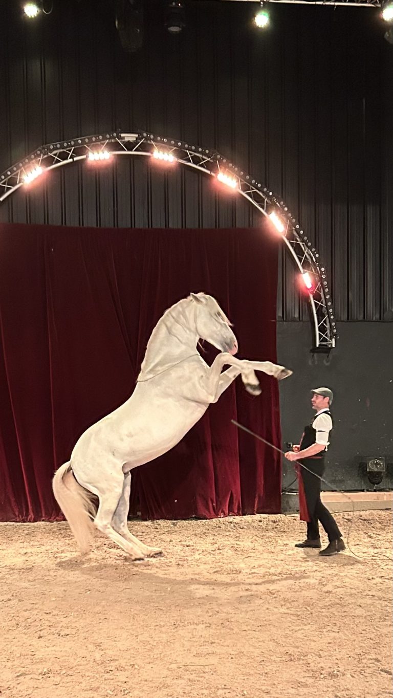 Sortie au Manège de Tilly